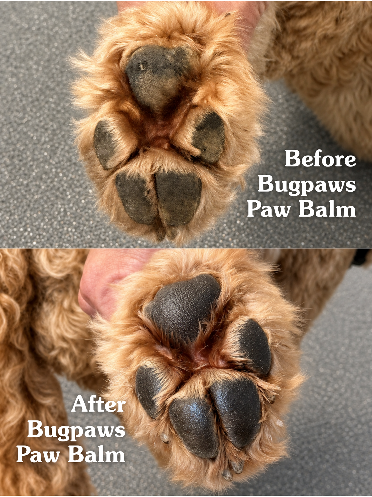 Bugpaws™ Paw Repair Balm