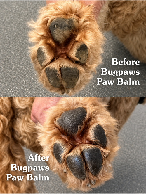 Bugpaws™ Paw Repair Balm