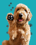 Bugpaws™ Paw Protection Pads (96-Pack)