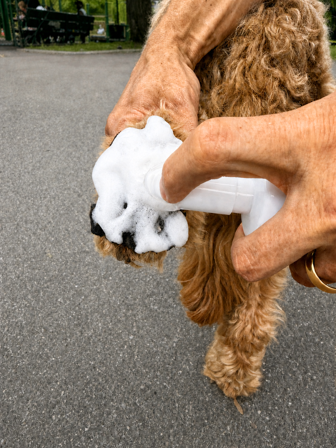 Bugpaws™ Antibacterial Paw Cleansing Foam