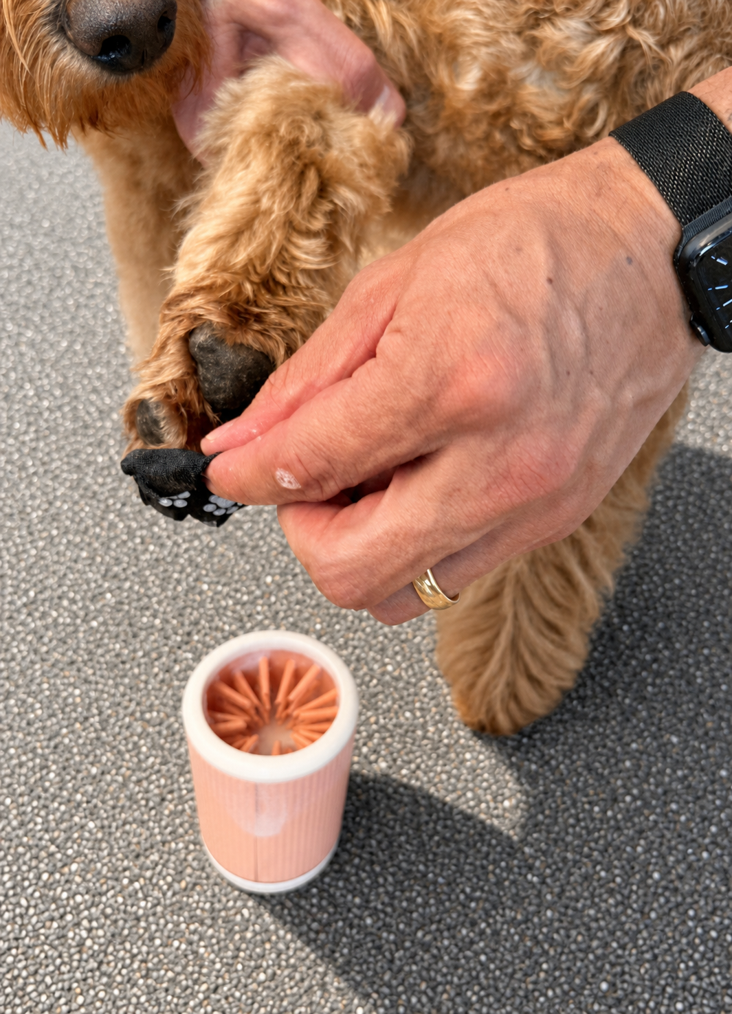 Bugpaws™ Paw Cleaning Cup